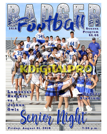 01 vs joshua owls 8x10