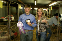 2009 Stockshow Pigs